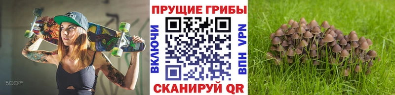 Галлюциногенные грибы Psilocybine cubensis  купить закладку  Волоколамск 